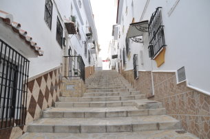 Algarrobo-4