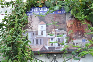 Algarrobo-2