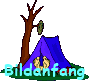 Camping103