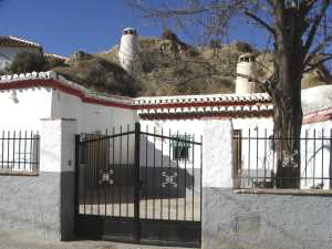 cua-u