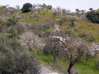 eselh_w